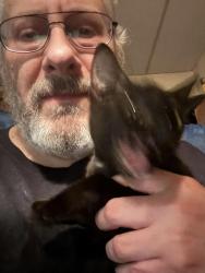 Reunited Female Cat last seen W12 between S and Highlawn, Brooklyn, NY 11223