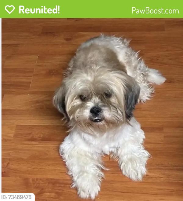 Reunited Male Dog last seen Sheryl drive, San Pablo, CA 94804