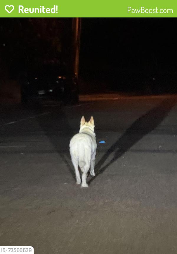 Reunited Unknown Dog last seen E glaucus, Encinitas, CA 92024