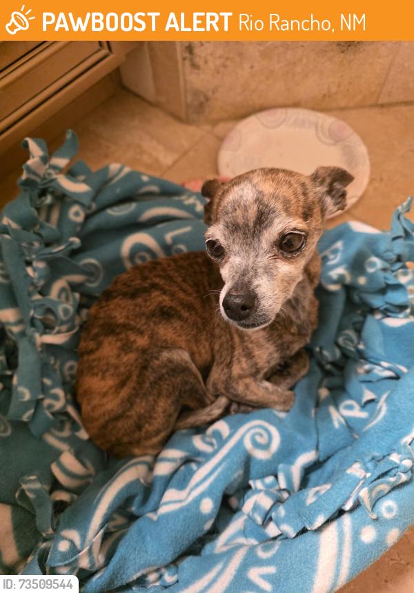 Found/Stray Female Dog last seen Long peaks rd, rio rancho ,87144, Rio Rancho, NM 87144