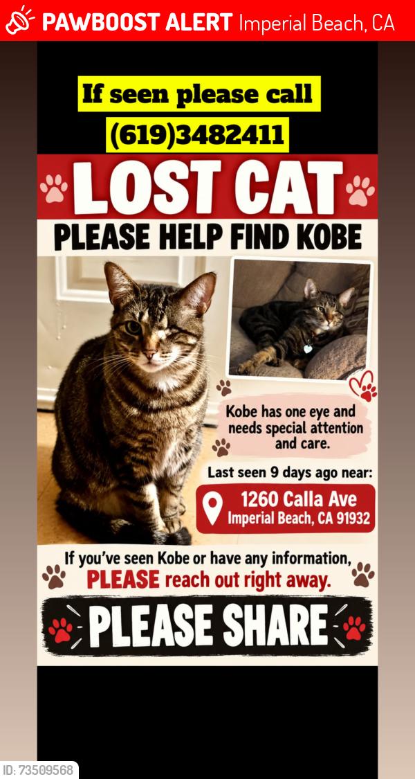 Lost Male Cat last seen Near st, Imperial Beach, CA 91932