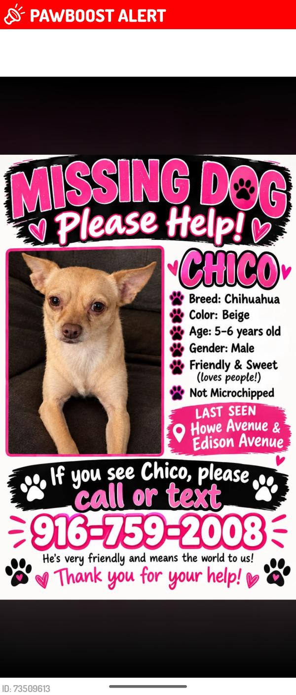 Lost Male Dog last seen Howe @Edison aves, Sacramento County, CA 95821
