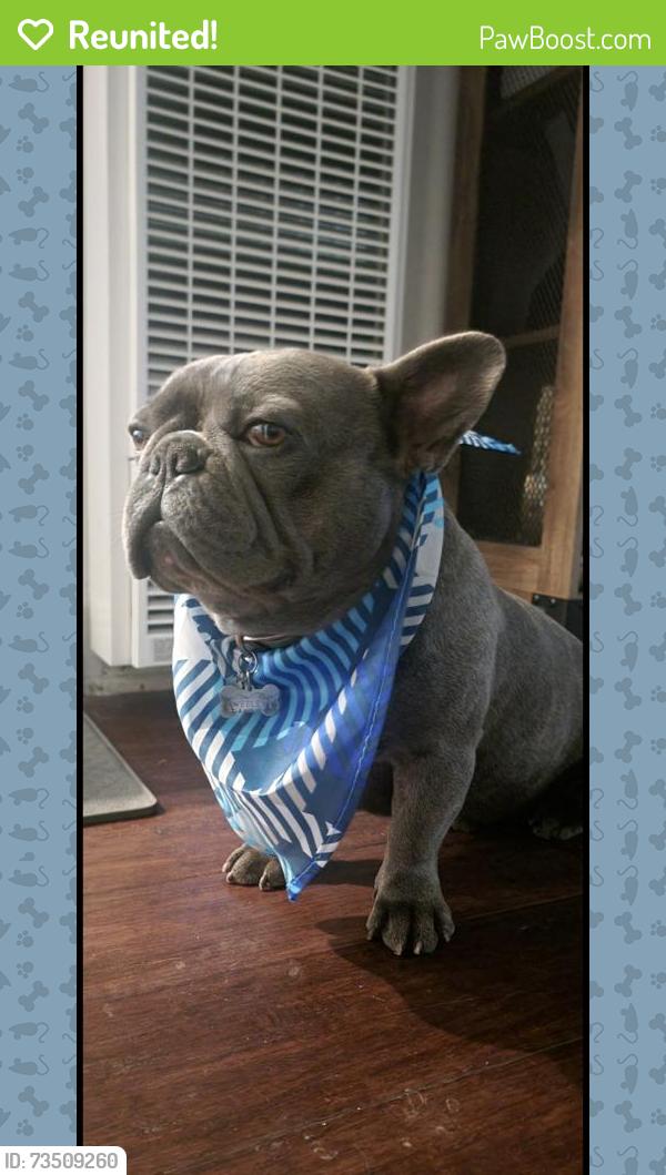 Reunited Male Dog last seen Woodlawn & Muriel, Lynwood, CA 90262