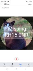 Lost Male Cat last seen Janes Lane, Welbeck Drive, Manor Road, West Sussex, England 