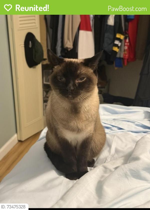 Reunited Female Cat last seen Moran Rd and Dix Hwy, Allen Park, MI 48101