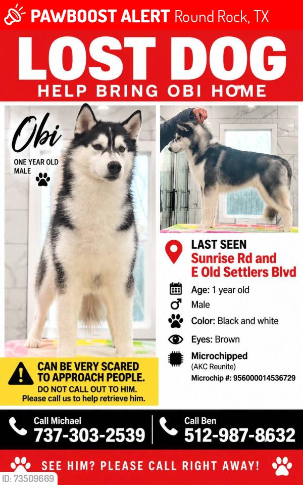 Lost Male Dog last seen E old Settlers, Round Rock, TX 78665