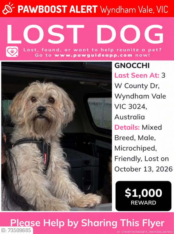 Lost Male Dog last seen Cambridge crescent, Wyndham Vale, VIC 3024