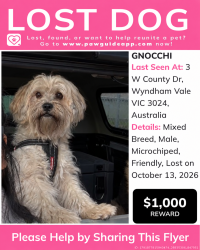 Lost Male Dog last seen Cambridge crescent, Wyndham Vale, VIC 3024