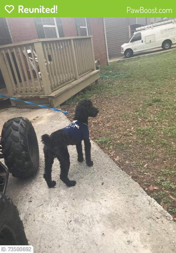 Reunited Male Dog last seen Arnhem dr, Hampton, GA 30228