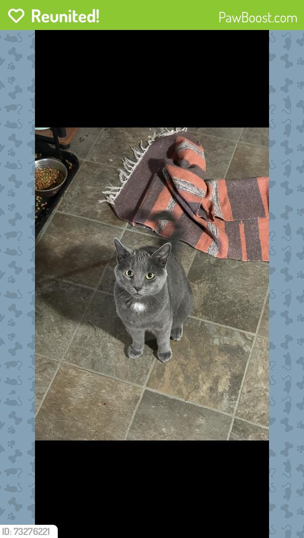 Reunited Male Cat last seen W. Northpoint Rd, Anderson Creek, NC 28390