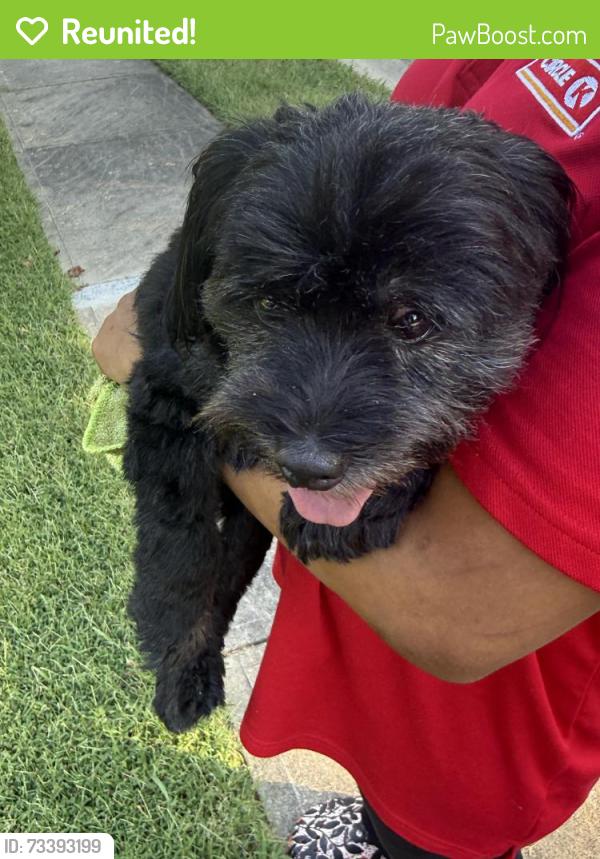 Reunited Female Dog last seen Arbor spring drive, Charlotte, NC 28269