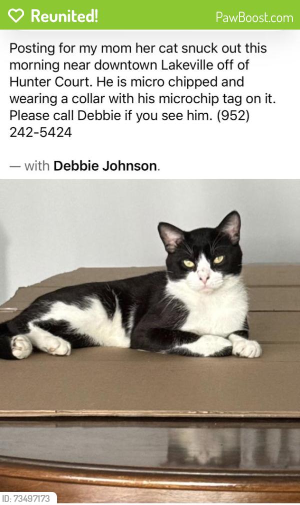 Reunited Male Cat last seen Downtown lakeville isn’t it Holyoke ave., Lakeville, MN 55044