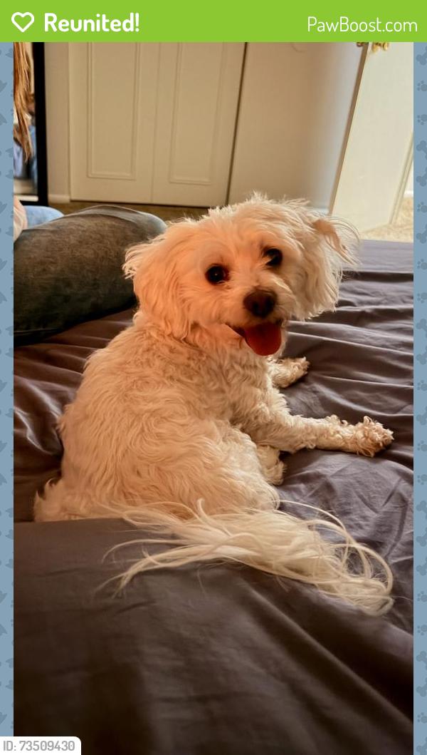 Reunited Male Dog last seen 62nd & Binford, Indianapolis, IN 46220