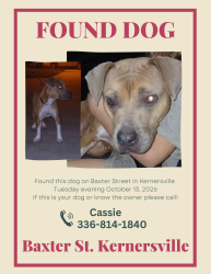 Found/Stray Female Dog last seen Baxter Street off Oakhurst Street, Kernersville, NC 27284
