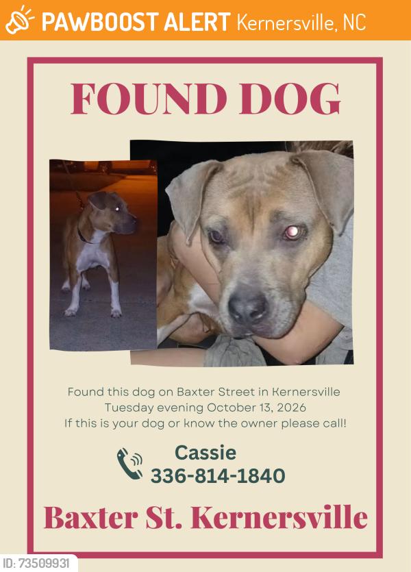 Found/Stray Female Dog last seen Baxter Street off Oakhurst Street, Kernersville, NC 27284
