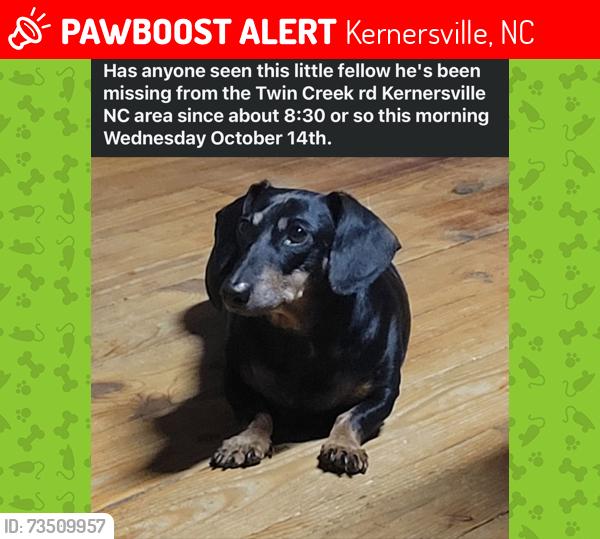 Lost Male Dog last seen Bunker Hill, Kernersville, NC 27284
