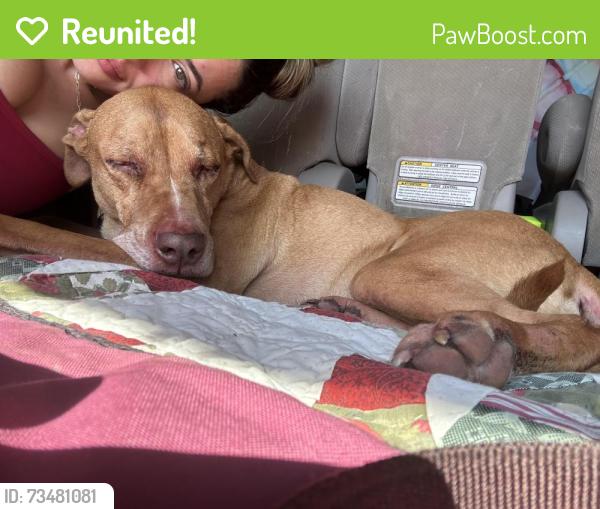 Reunited Male Dog last seen Goose Lake Wildlife Area, Deerfield, WI 53559
