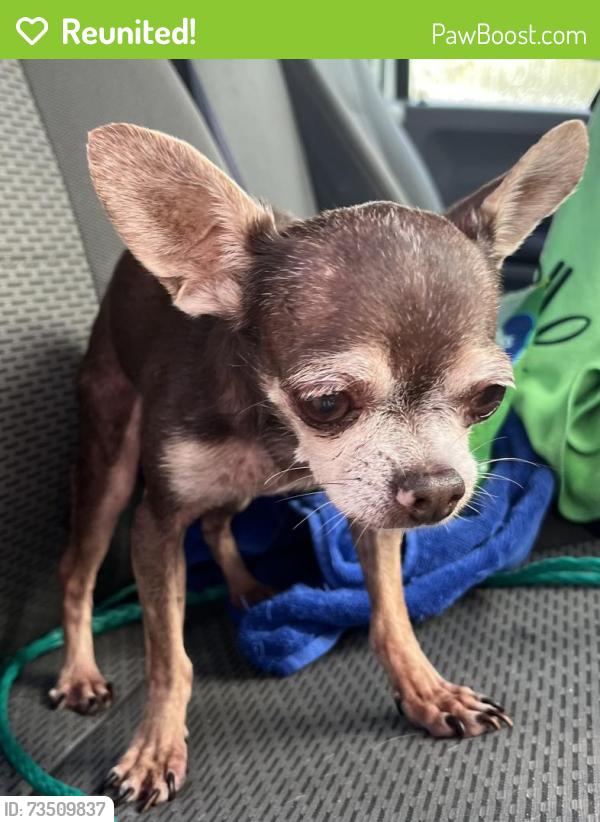Reunited Male Dog last seen port st. lucie, Port St. Lucie, FL 34986