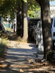 Reunited Unknown Ferret last seen Atlantic Ave. Liberty Ave. , our streets have that big scaffolding that’s closed off. He was near there, Brooklyn, NY 11208