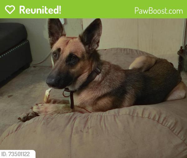 Reunited Male Dog last seen Rifle range 2nd st west wahneta, Wahneta, FL 33880