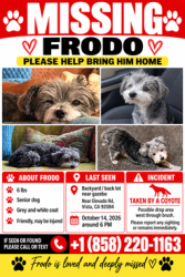 Lost Male Dog last seen Grandview rd, Vista, CA 92084