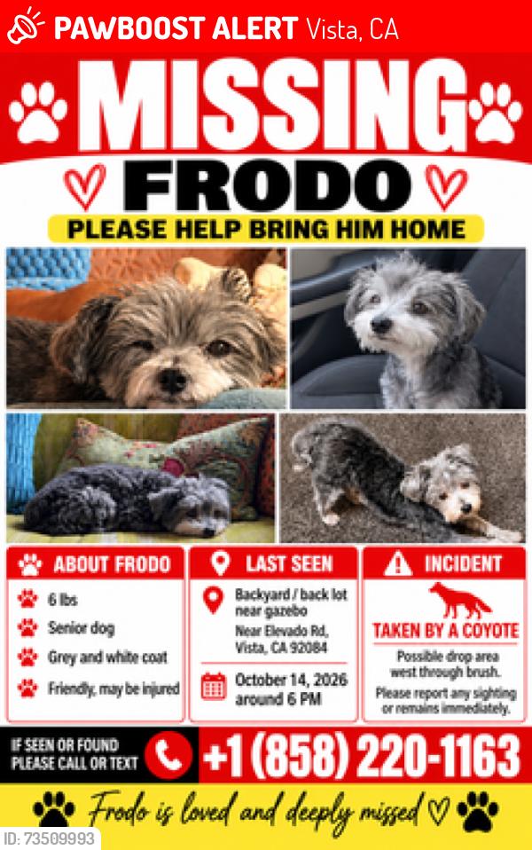 Lost Male Dog last seen Grandview rd, Vista, CA 92084
