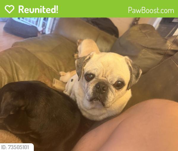 Reunited Male Dog last seen Near Hildegarde St, Moreno Valley, CA, USA, Moreno Valley, CA 92553