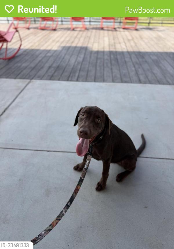 Reunited Male Dog last seen Ford stadium on cypresswood, Spring, TX 77373