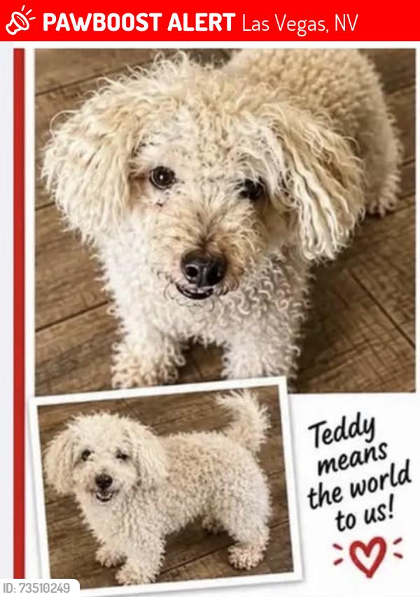 Lost Male Dog last seen South valley blvd, Las Vegas, NV 89141
