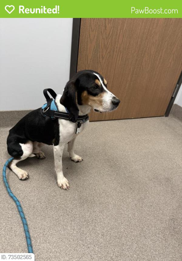 Reunited Male Dog last seen Royal Bay DRM & Promenade Cres, Victoria, BC V9C 0H9