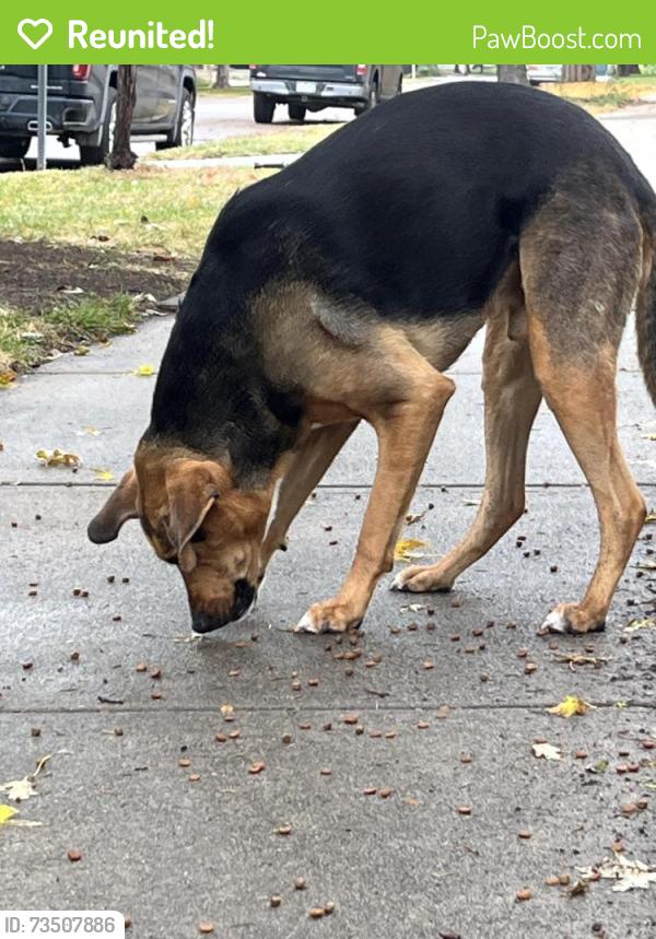 Reunited Male Dog last seen Near E 6th Ave, Denver, CO 80206, Denver, CO 80206