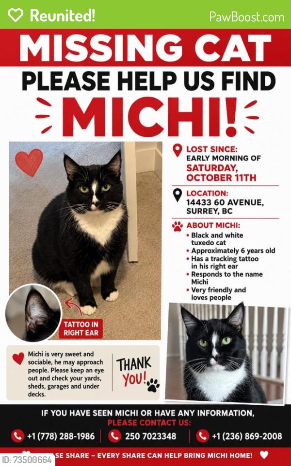 Reunited Male Cat last seen Near 60av surrey, Surrey, BC V3S 1R4