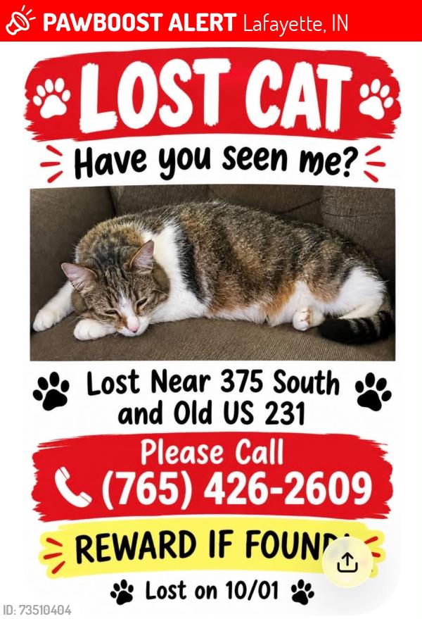Lost Female Cat last seen Old 231 South and 375 S, Lafayette, IN 47909