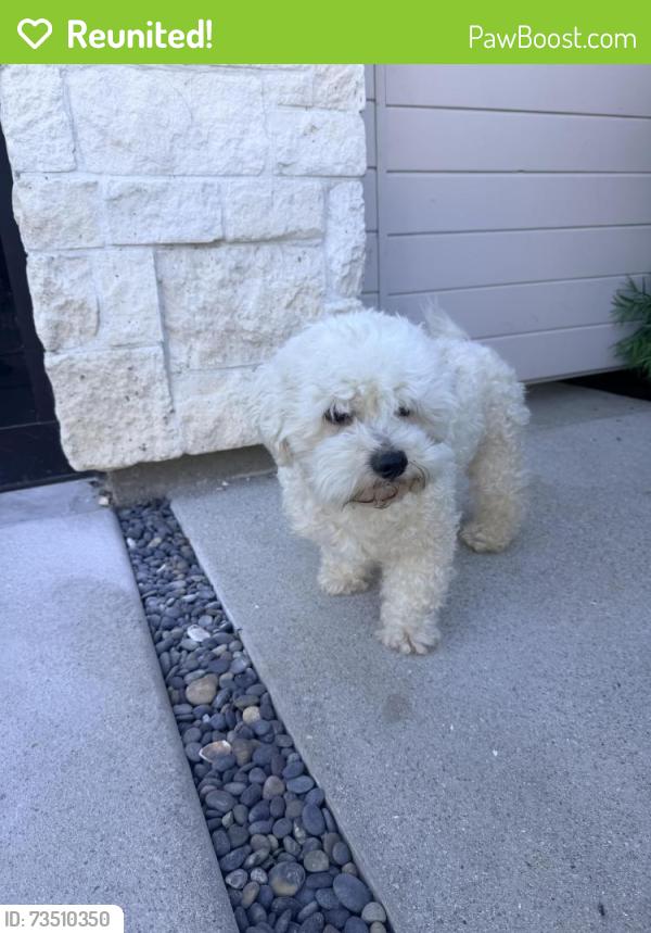 Reunited Unknown Dog last seen Greene Ave & Westlawn Ave, Los Angeles, CA 90066