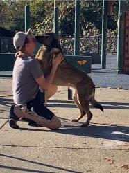 Reunited Unknown Dog last seen Allendale Park neighborhood, Oakland, CA 94619