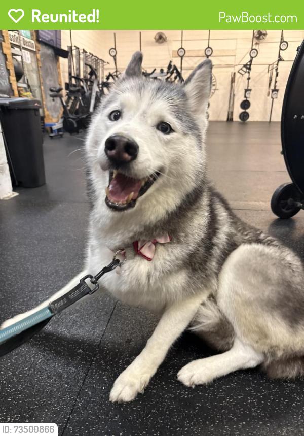 Reunited Female Dog last seen Benning, Destin, FL 32541