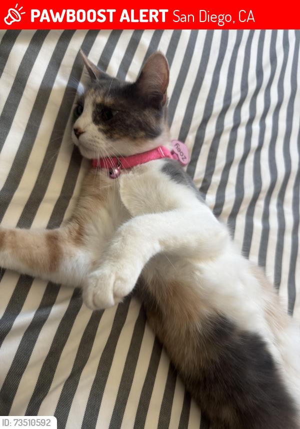Lost Female Cat last seen Modesto/home avenue, San Diego, CA 92105