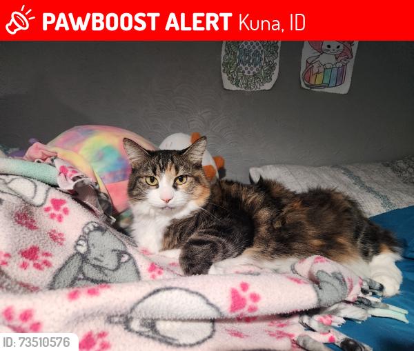 Lost Female Cat last seen Grey Hawk neighborhood., Kuna, ID 83634