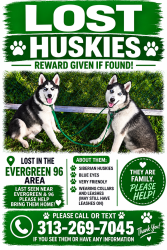 Reunited Male Dog last seen Outerdriver and evergreen, Detroit, MI 48223