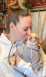 Lost Male Dog last seen Comfort Inn Lafayette Square, St. Louis, MO 63104