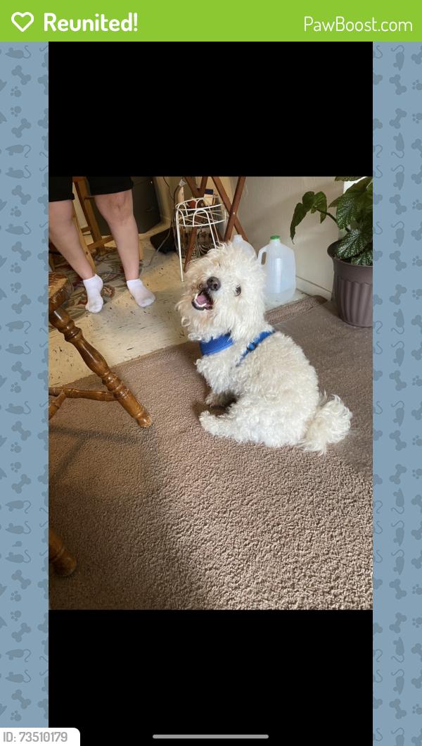 Reunited Male Dog last seen Louisiana/Menaul, Albuquerque, NM 87110