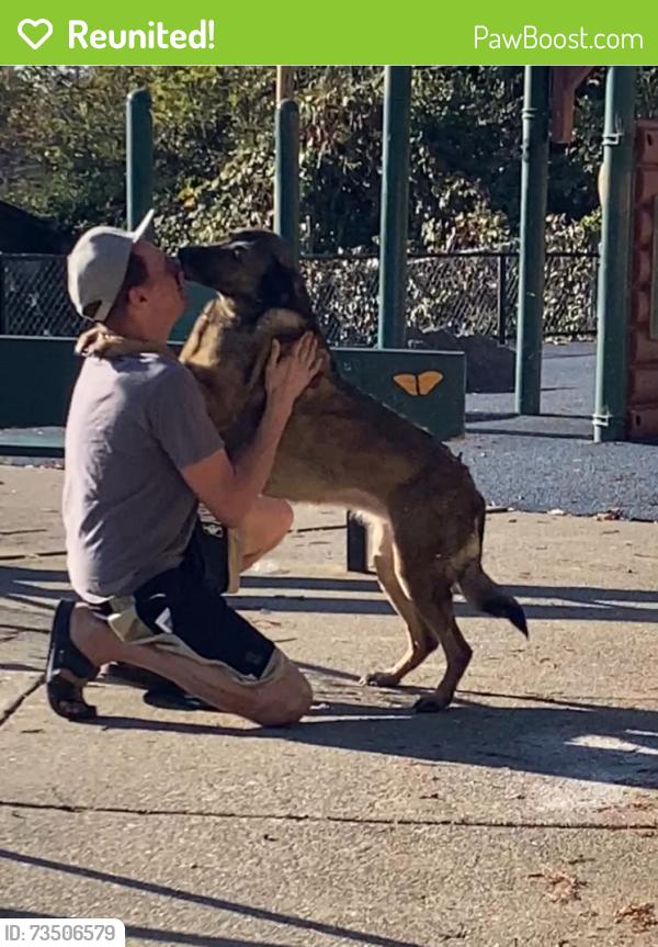 Reunited Unknown Dog last seen Allendale Park neighborhood, Oakland, CA 94619