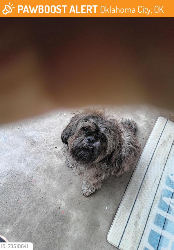 Found/Stray Unknown Dog last seen Se 15 and Bryant, Oklahoma City, OK 73129