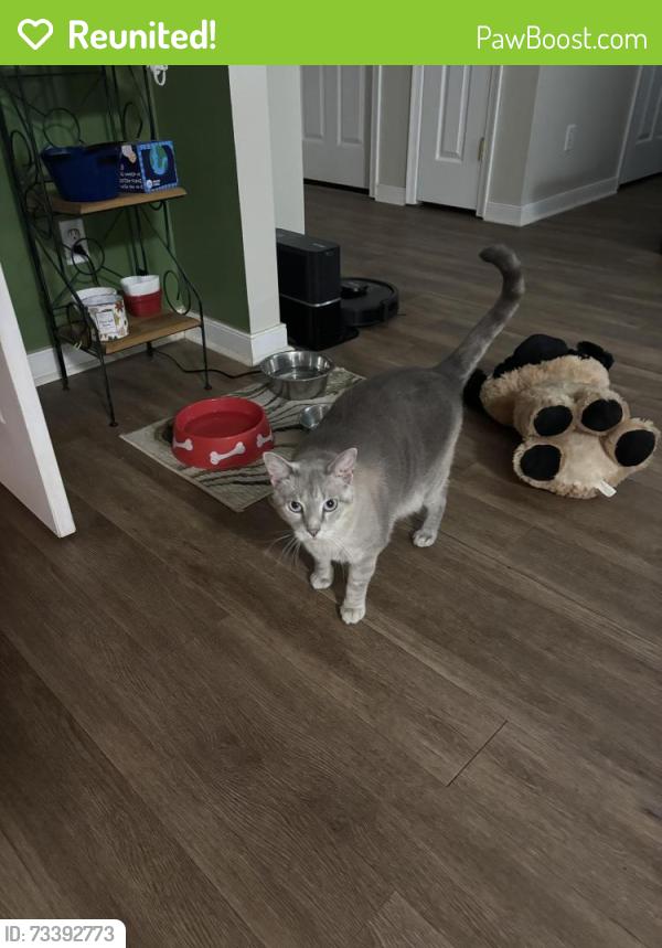 Reunited Male Cat last seen Anderson Hwy, Sheetz, Powhatan, VA 23139