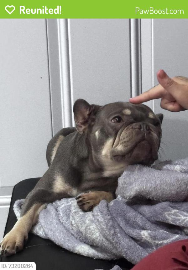 Reunited Female Dog last seen Was unexpectedly left at South Beach Park., Vero Beach, FL 32961