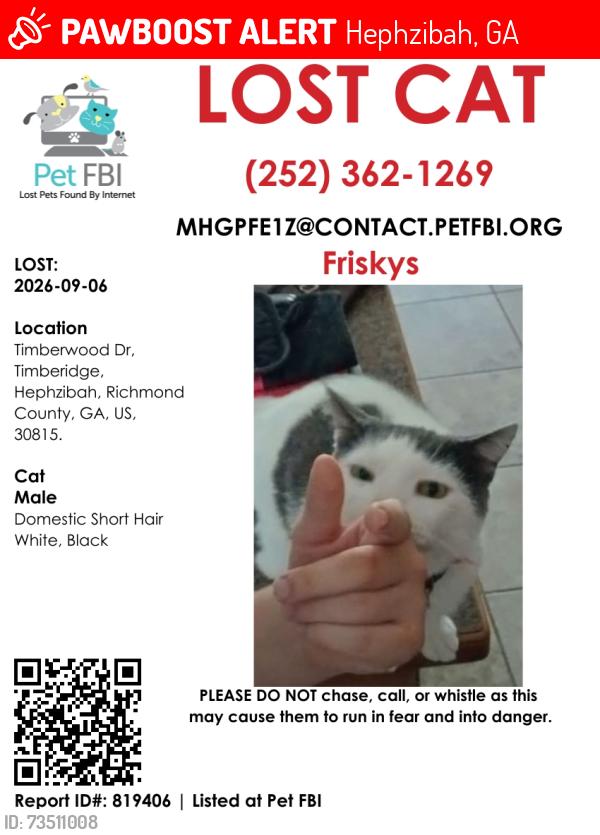 Lost Male Cat last seen Home address.5304 timberwood dr, Hephzibah, GA 30815