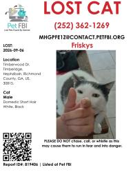 Lost Male Cat last seen Home address.5304 timberwood dr, Hephzibah, GA 30815