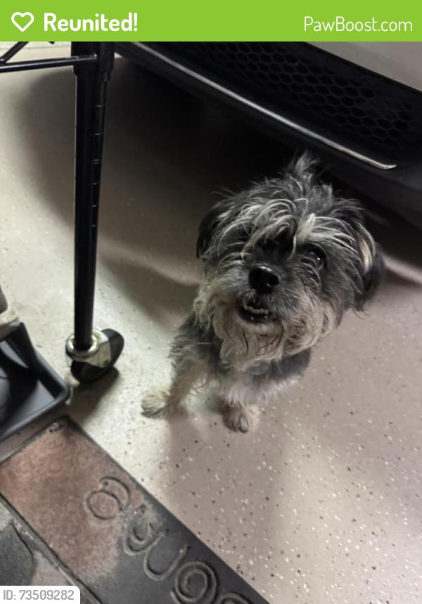 Reunited Unknown Dog last seen Riggin and Akers, Visalia, CA 93291