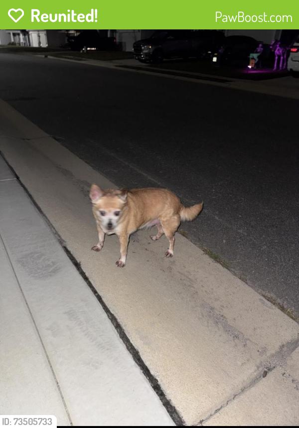 Reunited Female Dog last seen Near stackhouse Dr, Fayetteville, NC 28314