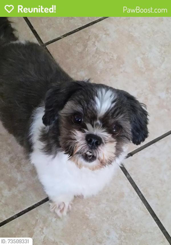 Reunited Female Dog last seen N Frederic burbank ca, Burbank, CA 91504